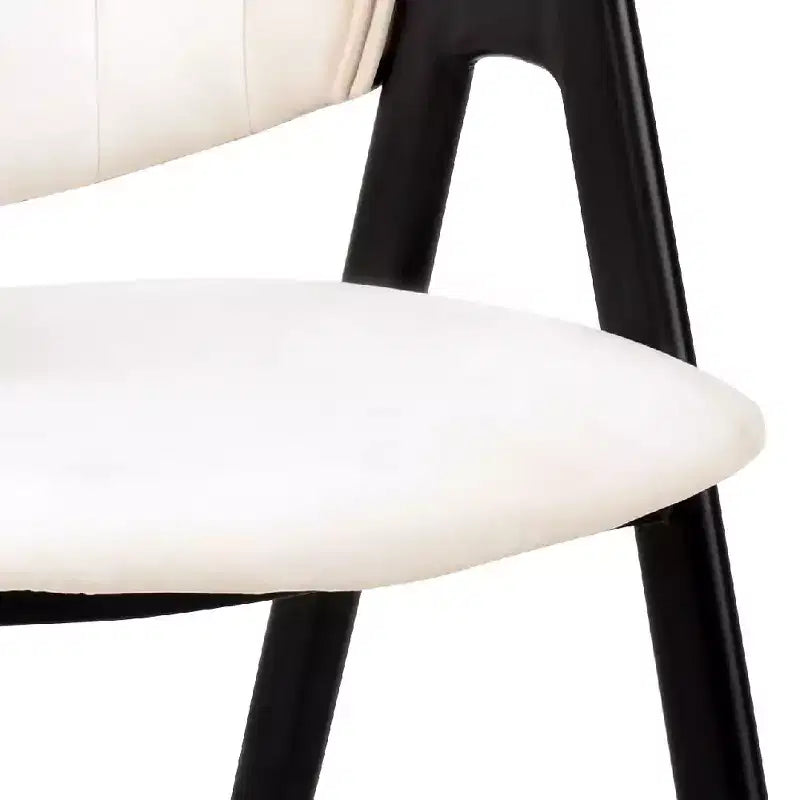 Savor Modern Dining Chair  Upholstered Side Chairs with Curved Back and Iron Frame Mid-Century Kitchen & Dining Room Chairs Set of 2